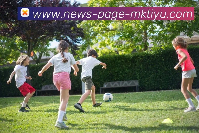 MK体育平台生态图