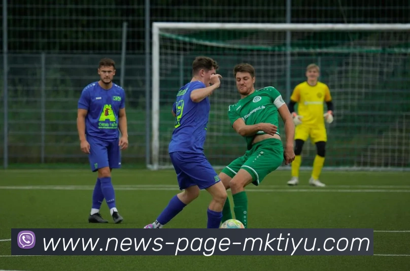 MK体育APP 封面图